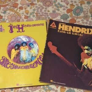 Jimi Hendrix Vinyl Record Set